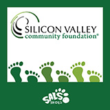 silicon-valley